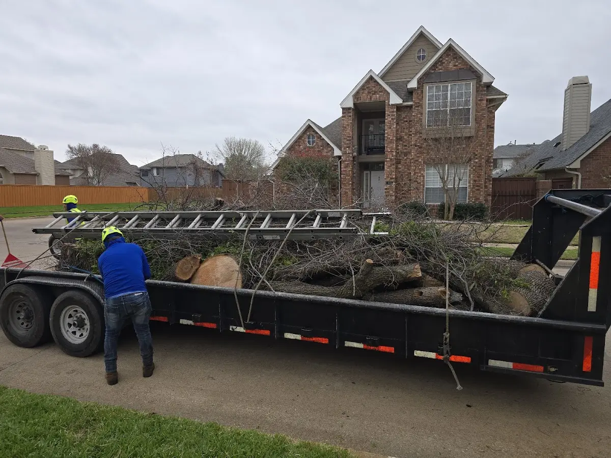 Expert Tree Fertilization with proper safety equipment in Blackstone
